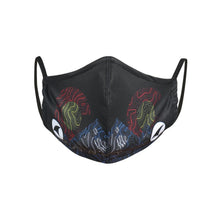 Load image into Gallery viewer, Face Mask - 5 Pack